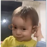 funny memes