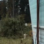 Michael Myers - Halloween