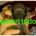 Mis pegatinas