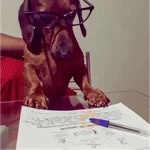 vibes