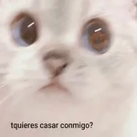 Animales enamorados