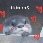 Animales enamorados