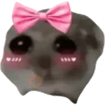 Ratita Random 🐀