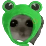Ratita Random 🐀