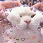 Gatos Amor💖💙💛
