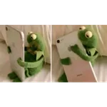 Momos de Tiktok 1°