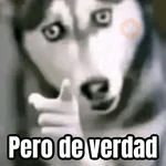 Memes chistosos 🤣