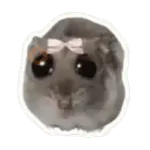 Hámster | Ratita triste 😢🐹