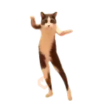 Meme Kucing Viral #2 🐱