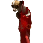 snoopy