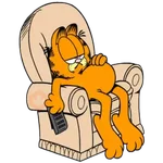 Garfield 2😽😼