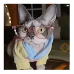 Meme animal random 🌈🙉