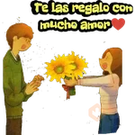 Girasol 🌻 