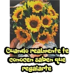 Girasol 🌻 