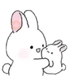 Amor conejito Tozzi 🐰💞