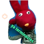 31 minutos