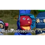 bodoque