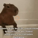 Animales Random🌸💥