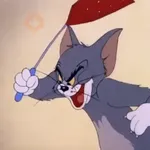 😼 TOM PAL CHAT 😸