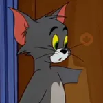 😼 TOM PAL CHAT 😸