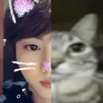 k-pop mitad y mitad 