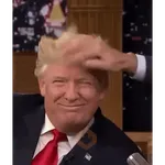 Reações Donald Trump