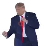 Reações Donald Trump