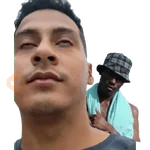 creador de stickers 