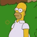 🍩HOMERO MOODS 🍩