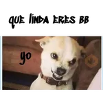 perritos haciendo caras 😌 