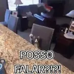 minhas figurinhas 