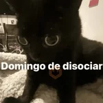 😛 DIAS DE LA SEMANA TOP 😛