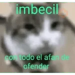 Michi frases