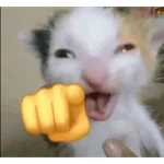 MEME Kucing Baru