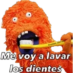 31 minutos