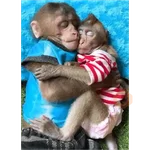 pra amor