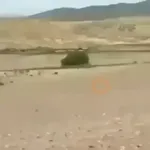31 minutos
