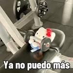 Pal gym 💪🏻🏋🏻