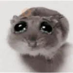Ratita - Hamster en movimiento