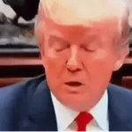 Trump 🇺🇸