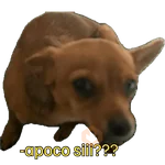 Creador de stickers 