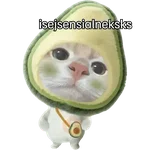 y de pronto una puchaina 🥑