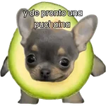 y de pronto una puchaina 🥑