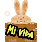 Conejitos 🐰❤️ 