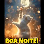 Gato preto