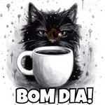 Gato preto