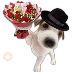 Ramos 💐Para ti Amor❤️ 🐝
