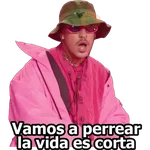 YO PERREO SOLA 