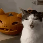 👻 HALLOWEEN MOODS 👻