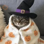 👻 HALLOWEEN MOODS 👻